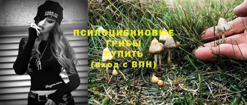 купить наркоту  Верхняя Тура  Галлюциногенные грибы Magic Shrooms 